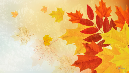 �1229682 �������(a): ����������:1920x1080